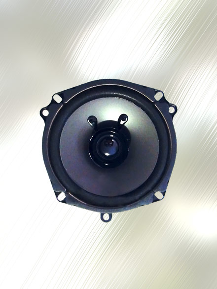 Speaker