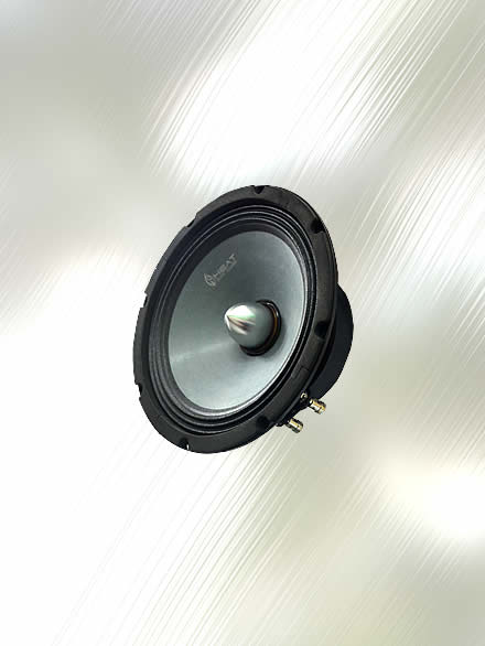 Speaker