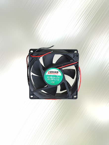 Fan